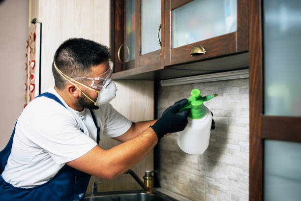 Best Residential Pest Control  in Wyoming, PA