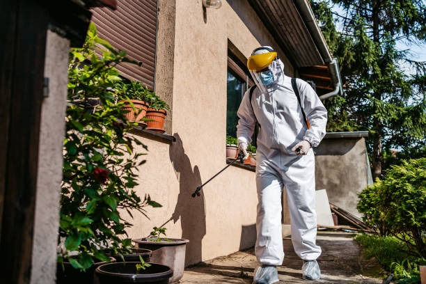Best Insect Control  in Wyoming, PA