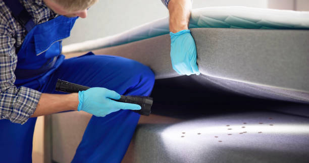 Trusted Wyoming, PA Pest Control Experts