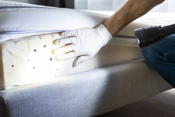 Best Mosquito Control Services  in Wyoming, PA