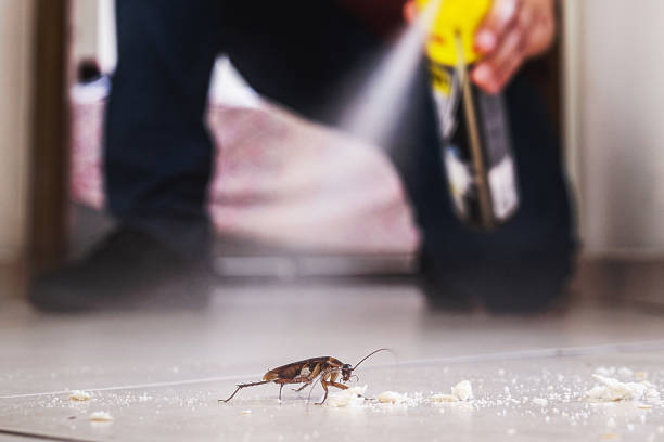 Best Pest Prevention Services  in Wyoming, PA
