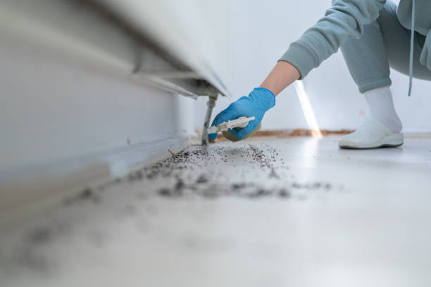 Best Exterminator Services  in Wyoming, PA