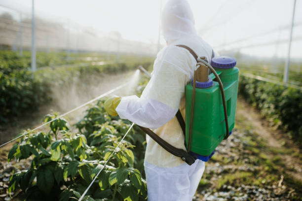 Best Pest Removal Services  in Wyoming, PA